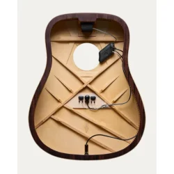 L.R. Baggs HiFi Duet
